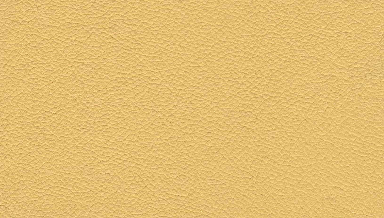 Leather Colour Choices