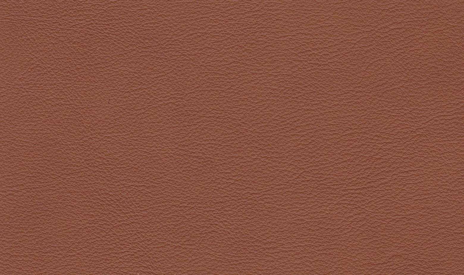 Liquid Amber (TT) - Leather Colour Choices