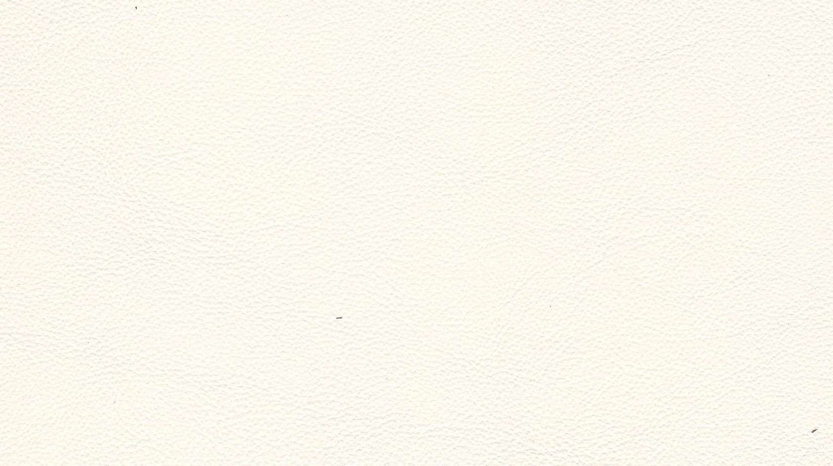 Cortina - Leather Colour Choices