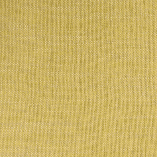 Jarvis Honey - Warwick Ardo Fabric Choices