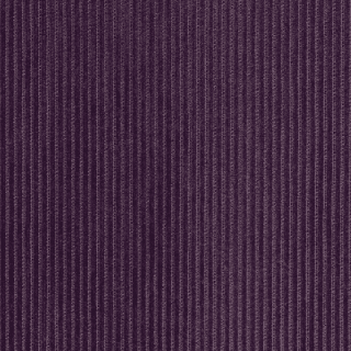 Rave Amethyst - Warwick Rave Fabric Choices