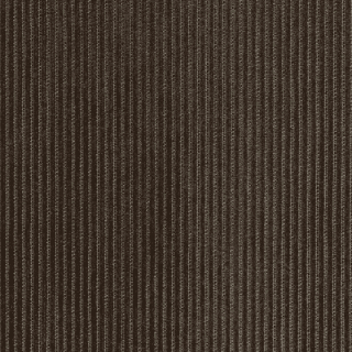 Rave Bark - Warwick Rave Fabric Choices