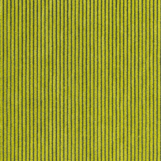 Rave Citron - Warwick Rave Fabric Choices