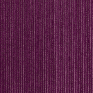 Rave Fuchsia - Warwick Rave Fabric Choices