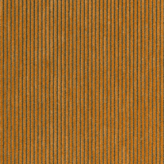 Rave Mandarin - Warwick Rave Fabric Choices