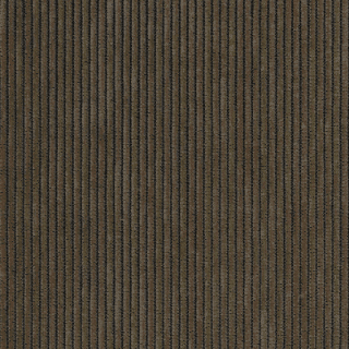 Rave Sable - Warwick Rave Fabric Choices