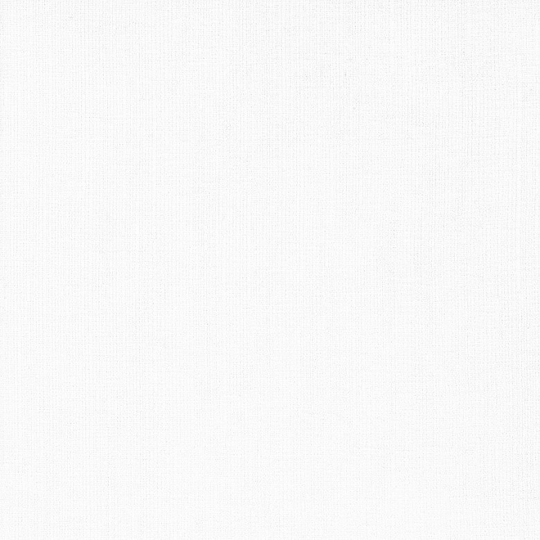 snow - Zepel Quantum Choices