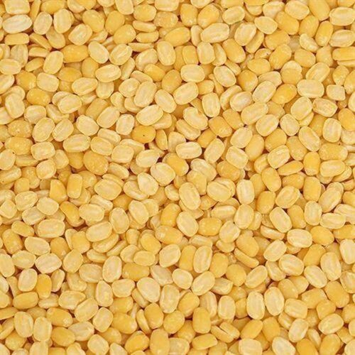 Yellow Mungdal