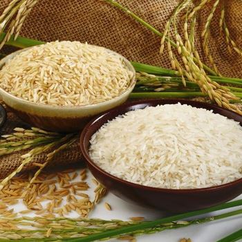 Sona Masoori Organic Rice