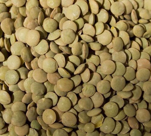 Green And Brown Lentils
