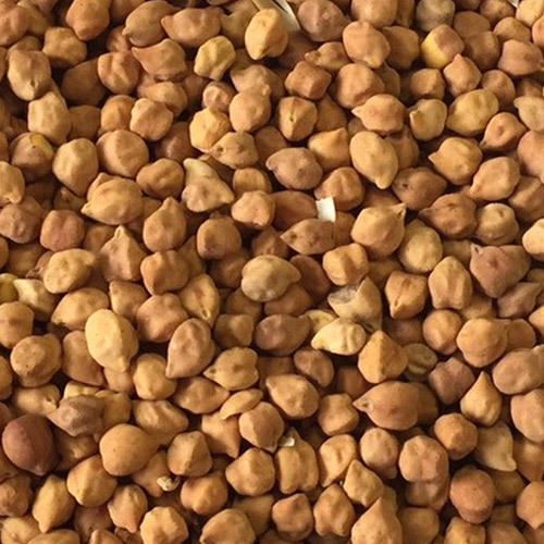 Desi Chick Pea Tyson Pea
