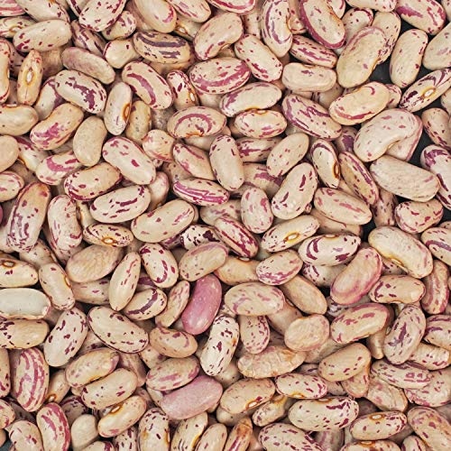 Light Red Kidney Beans